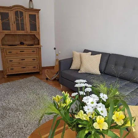 Ursula Apartment Schneeberg  Exterior photo
